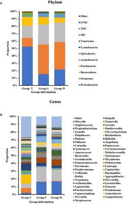 Compositional and Functional Analysis of the Microbiome in Tissue and Saliva of Oral Squamous Cell Carcinoma